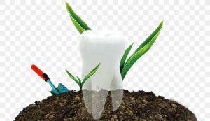 کاشت دندان و انواع روشهای آن