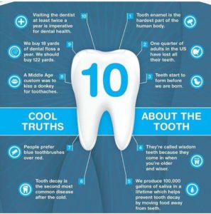 دندان و دخ حقیقت راجع به آن